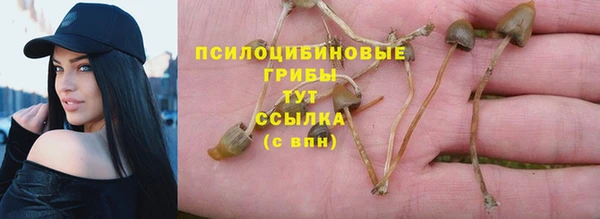 крисы Семилуки