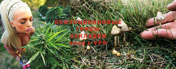 крисы Семилуки